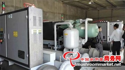 浙江 青風環境設備助力食用菌工廠化生產，推動產業現代化升級
